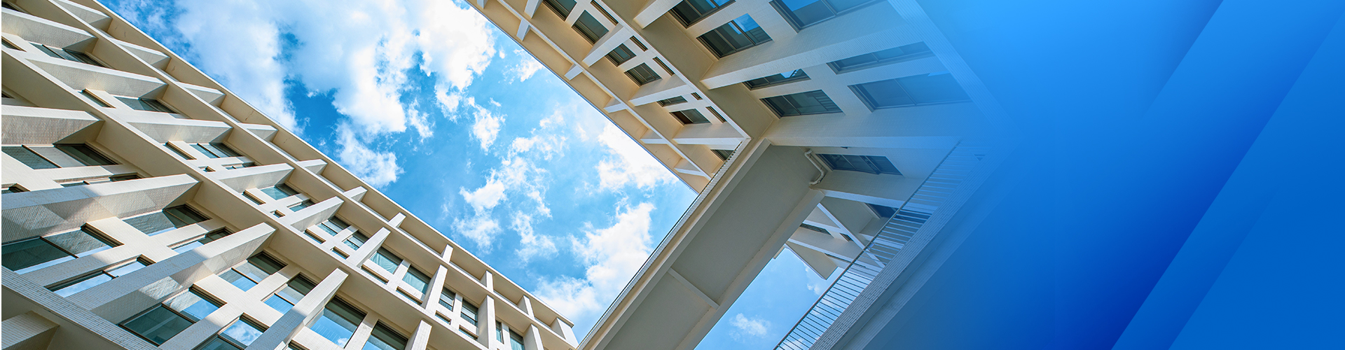 抢庄牛牛平台人